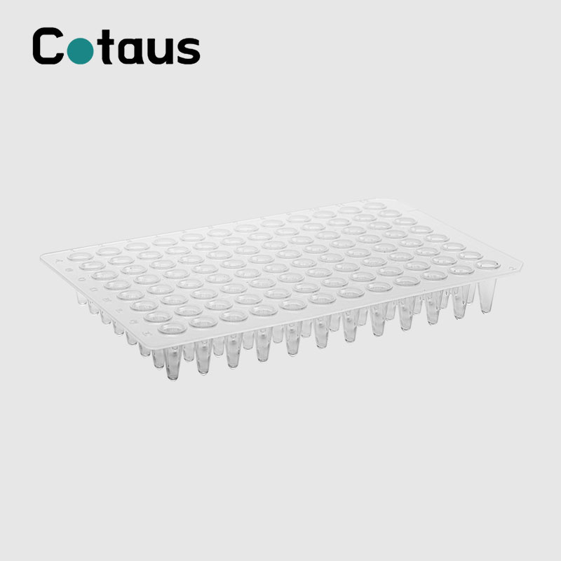 96 ດີ 0.1ml Transparent No Skirt PCR Plate